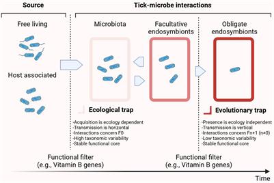 The Symbiotic Continuum Within Ticks: Opportunities for Disease Control